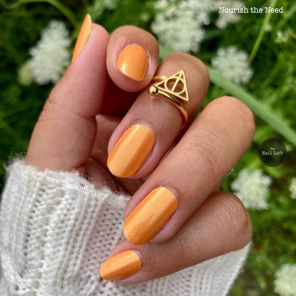 Retired Color Street- Norish the Need - Picture 2 of 7